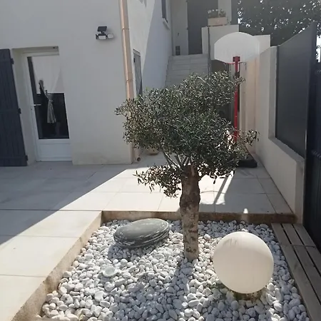 Les Lauriers Roses Appartement
